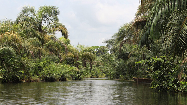 image Benin-2