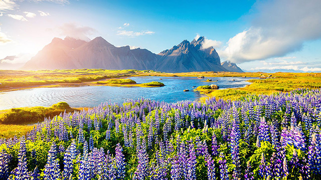 image Iceland-1