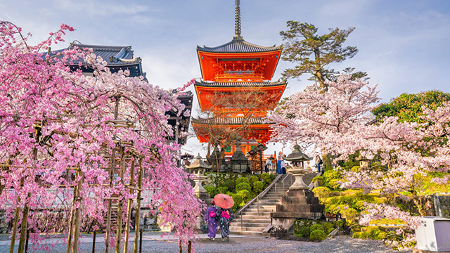 image Japan-3