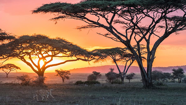 image Kenya-3