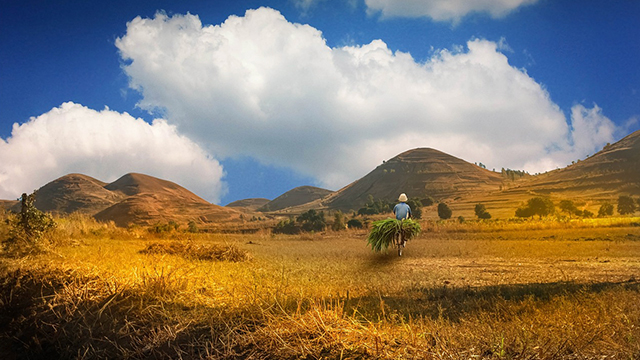 image Madagascar-3