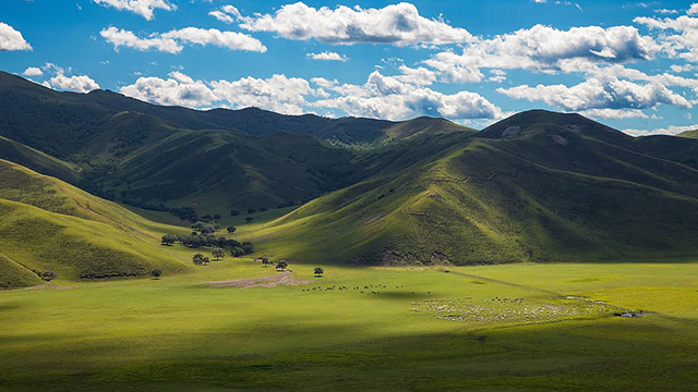 image Mongolie-3