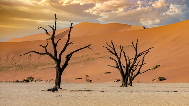 image Namibia-3