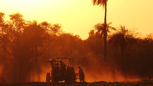 image Paraguay-3